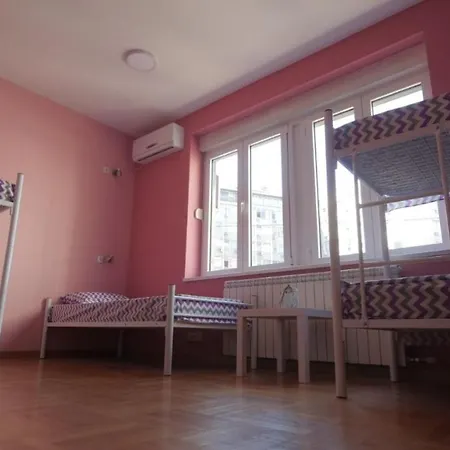 Stella Di Notte Vip *