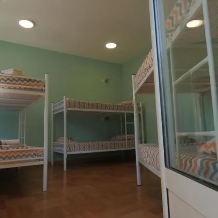 Stella Di Notte Vip *