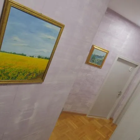 Stella Di Notte Vip בלגרד