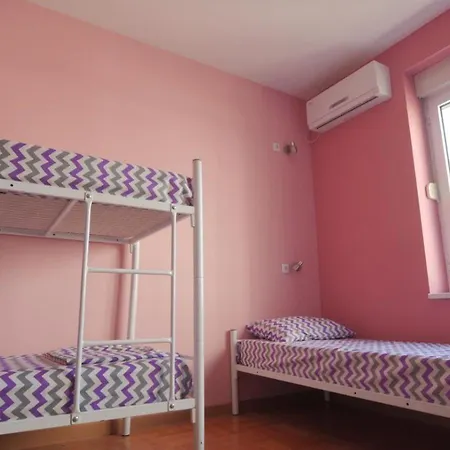 Stella Di Notte Vip *